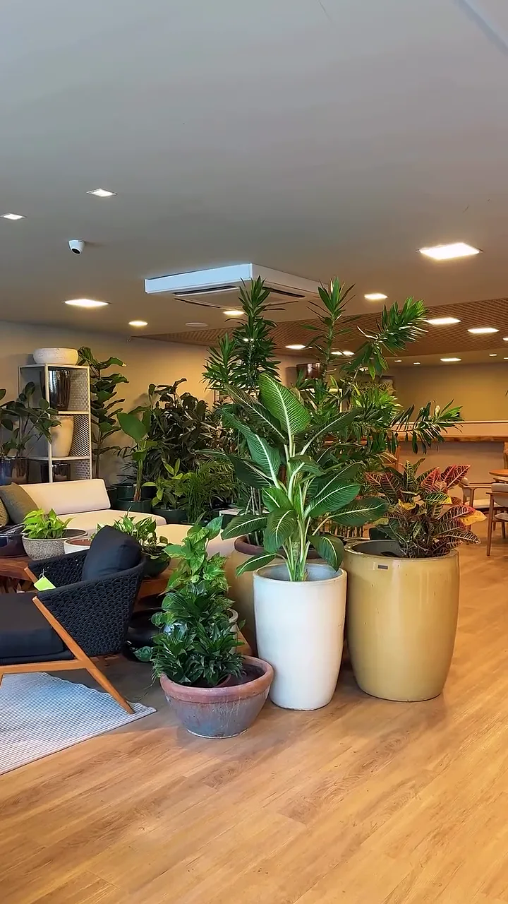 Salão da loja Villa Garden com plantas de grande porte em vasos claros